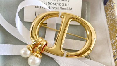 디ㅇ CD NAVY 브로치