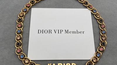 디ㅇ 자도르 초커 목걸이