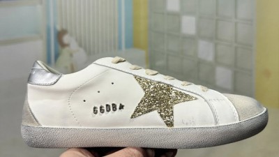 [공용] 골ㄷ구스 슈퍼스타